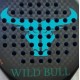 WILD BULL Y