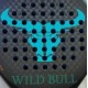 WILD BULL Y